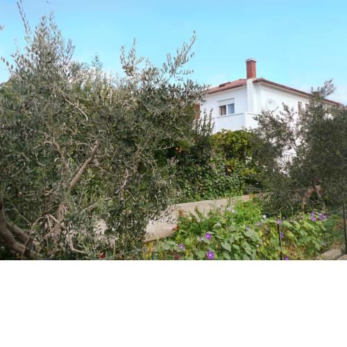 Apartment in Barbat/Insel Rab 16473