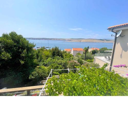 Apartment in Jadranovo 42071