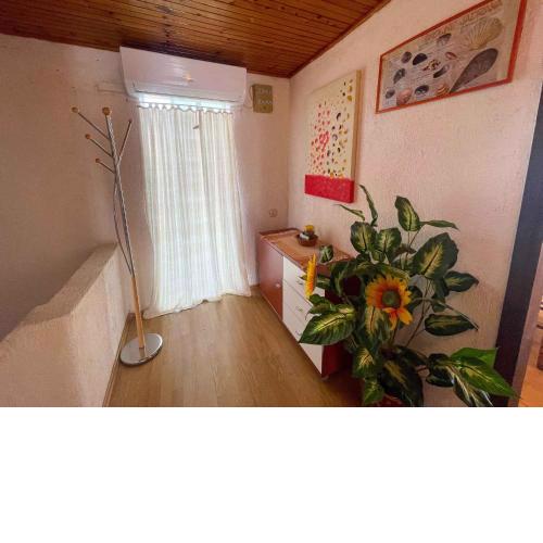 Apartment in Jadranovo 42255