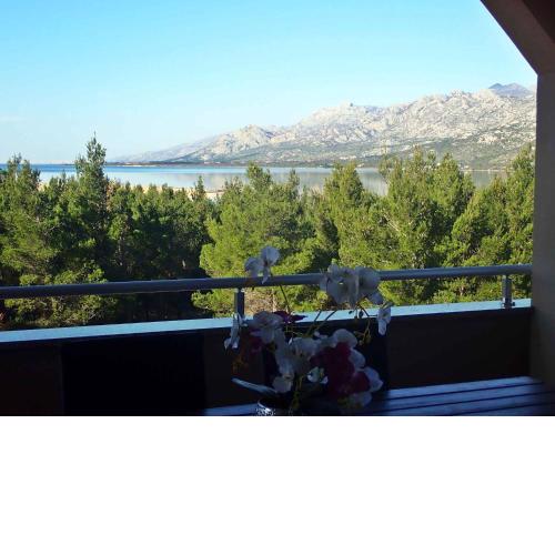 Apartment in Jasenice 42083