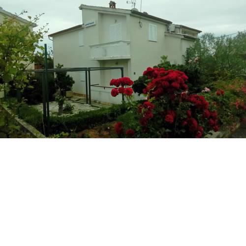 Apartment in Kukljica/Insel Ugljan 38785