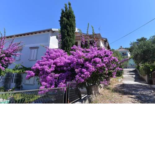 Apartment in Mali Losinj 33349