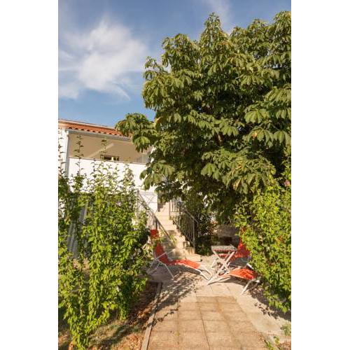 Apartment in Marcana/Istrien 38824