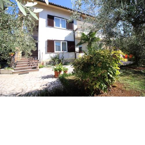 Apartment in Porec/Istrien 10095
