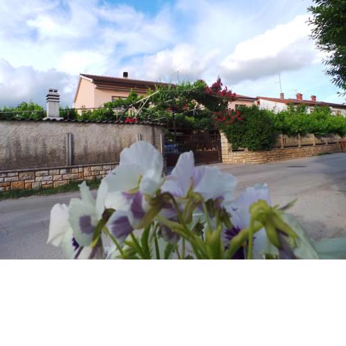 Apartment in Pula/Istrien 11263