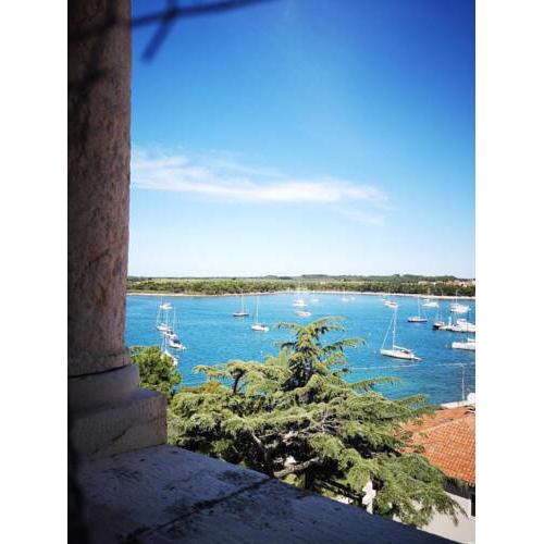 Apartment in Rab - Insel Rab 40514