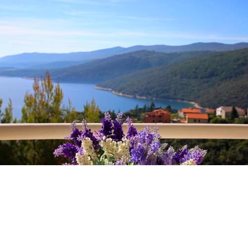 Apartment in Rabac 16829
