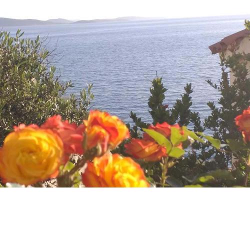 Apartment in Tribunj with sea view, balcony, air conditioning, W-LAN 5035-2
