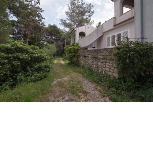 Apartment in Veli Losinj 34684