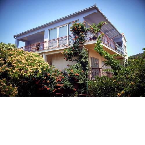 Apartment in Vinisce 7417