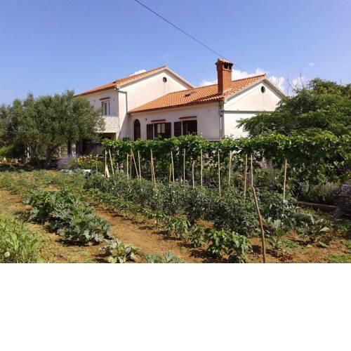 Apartment in Vir - Insel Vir 41288