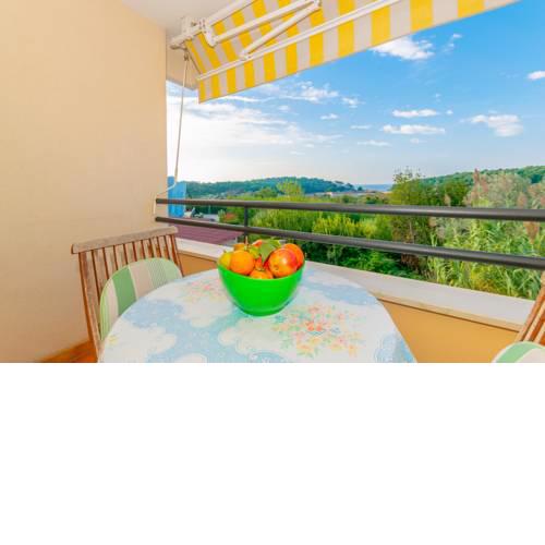 Apartment IRENA