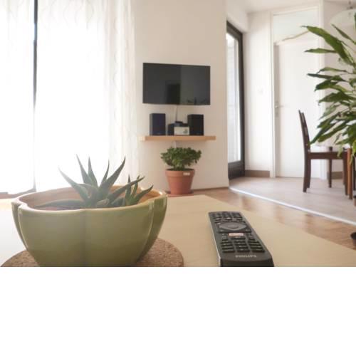 Apartment Irene