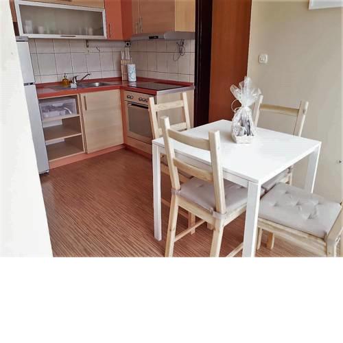 Apartment Ivana Murter