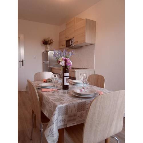 Apartment Ivana