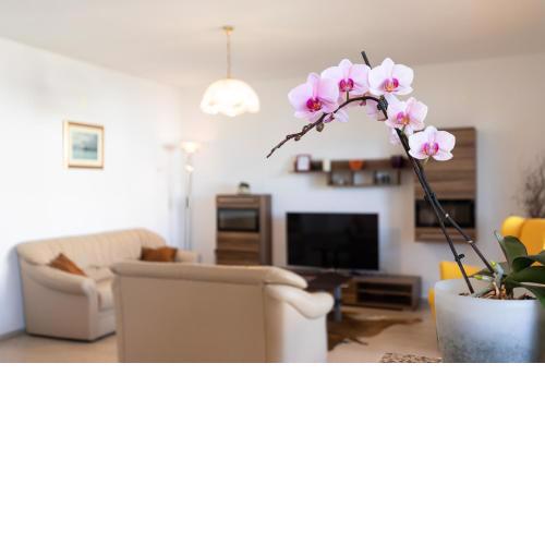 Apartment Jurjević