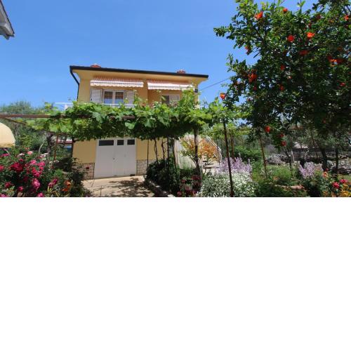 Apartment Lesica