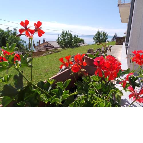 Apartment Lucia&Holiday Home Nino