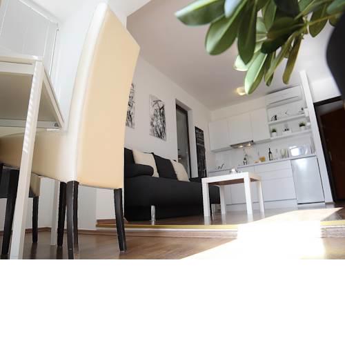 Apartment Lutrovic 202