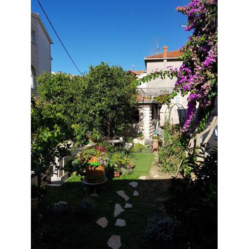 Apartment Maca