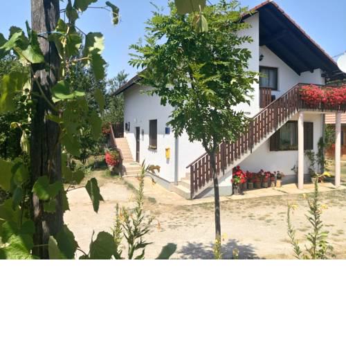 Apartment Manda