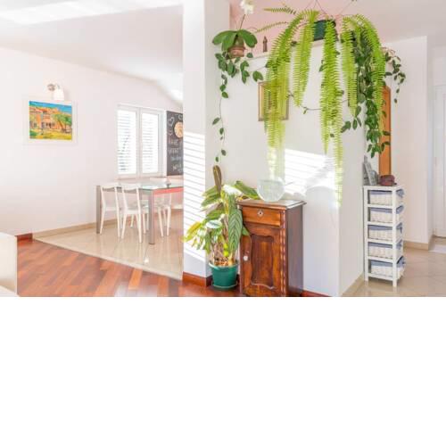 Apartment Margarita