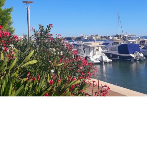 apartment sea la vie borik