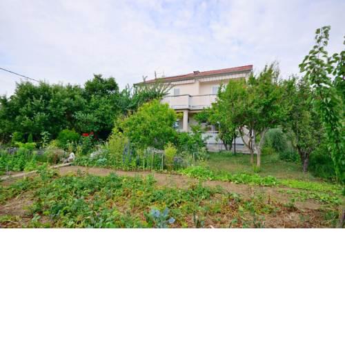 Apartment Marica