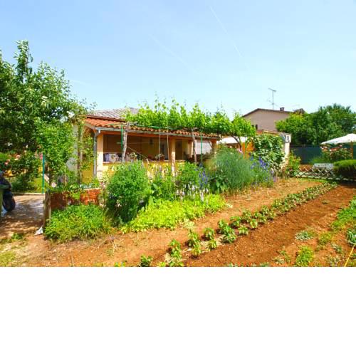 Apartment Marija 249