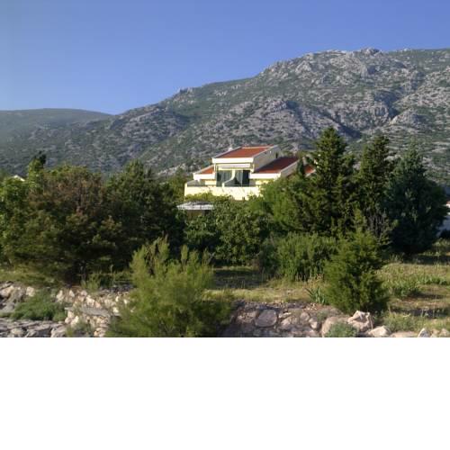 Apartment Matea; 20m from the beach; AP1