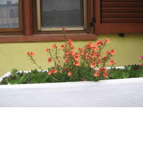 Apartment Meridiana