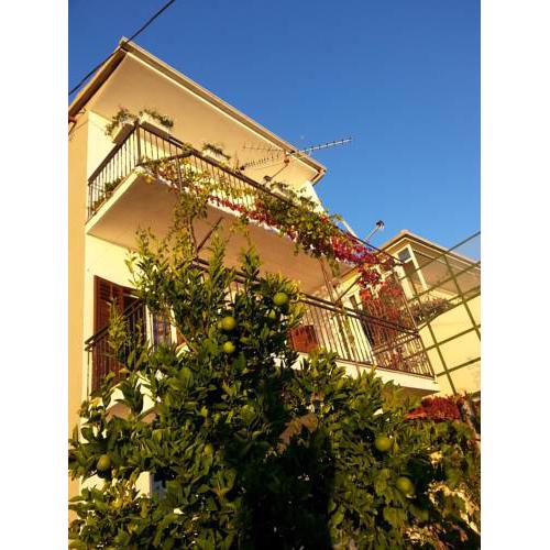 Apartment Mimice 1
