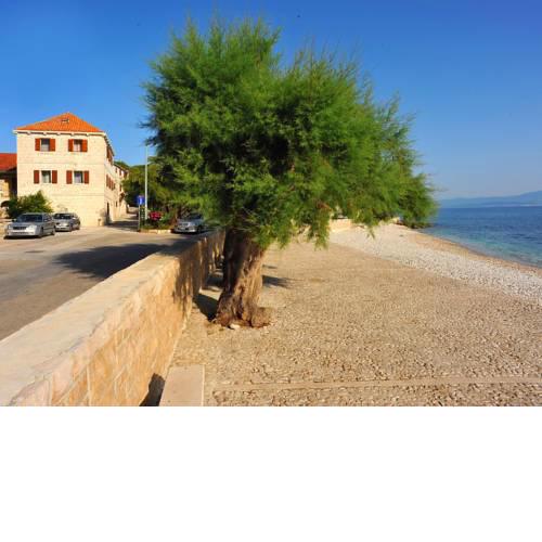 Apartment Mirta.4