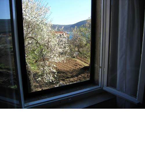 Apartment MM2