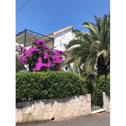 Apartment Nada