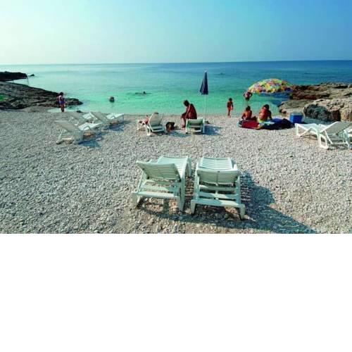 Apartment near lovely bay