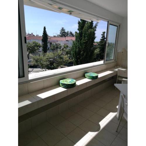 Apartment Nick Gajac, Novalja, Zrće