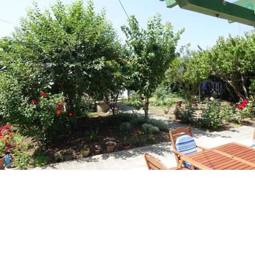 Apartment Nin 5805b