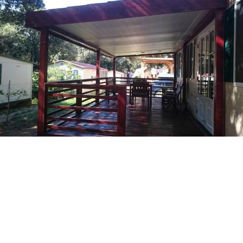 Apartment Novalja 13090a