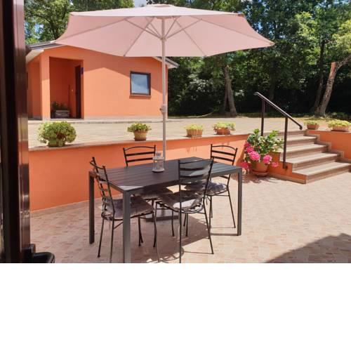 Apartment Olea