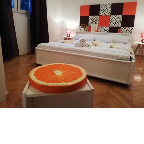 Apartment Olive tree