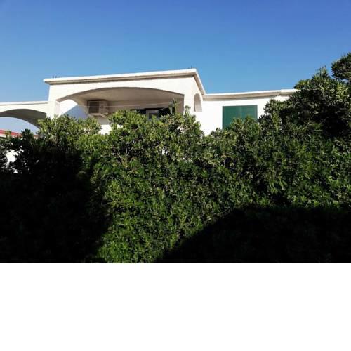 Apartment Pag 17752c