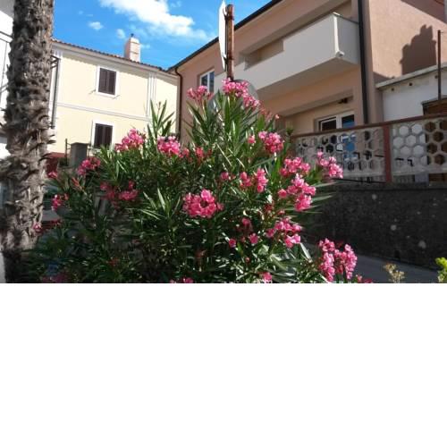 Apartment Pavao in the center of Vrbnik