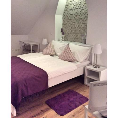 Apartment Pavic