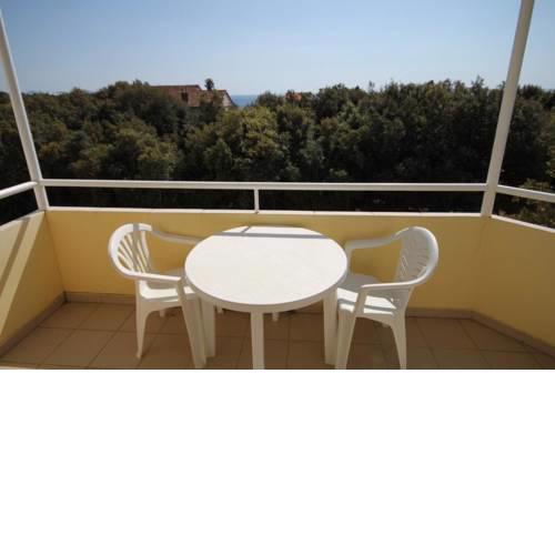 Apartment Petrcane 3288c