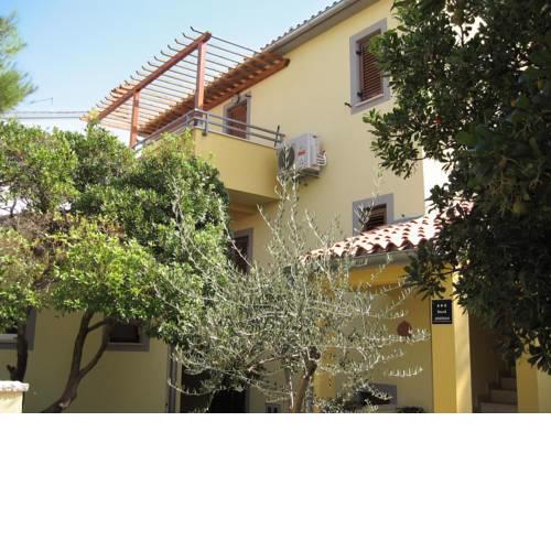 Apartment Pjescana Uvala/Istrien 10882