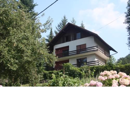 Apartment Pogled