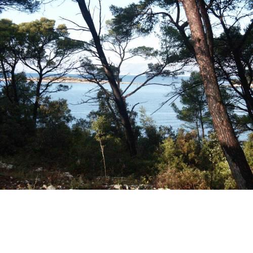 Apartments by the sea Pomena, Mljet - 614