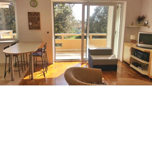 Apartment Predrag