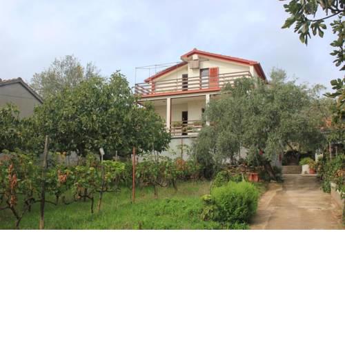 Apartment Preko 8522b